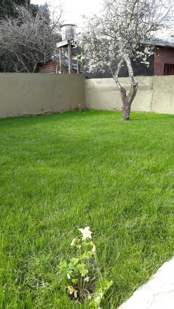 San Martin Garden Apartment San Martin de los Andes Exterior photo